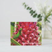 かわいい金ゴールドのダストデイgeckoピンクのパイナップルハワイ ポストカード (スタンド正面)