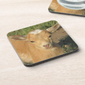 かわいい金ゴールドナイジェリア矮性乳製品ヤギの子 コースター (左側)