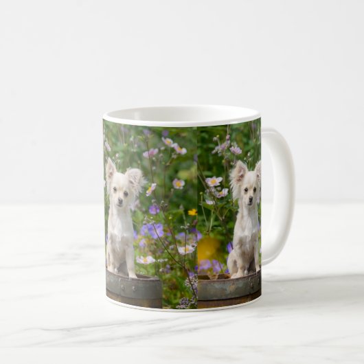 かわいい長い髪のクリーム色のチワワ犬の子犬の写真の_ コーヒーマグカップ (正面右)