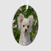 かわいい長い髪のクリーム色のチワワ犬の子犬の写真 オーナメント (正面)