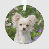 かわいい長い髪のクリーム色のチワワ犬の子犬の写真 オーナメント (裏面)