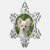 かわいい長い髪のクリーム色のチワワ犬の子犬の写真* スノーフレークピューターオーナメント (右)