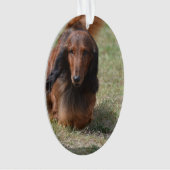 かわいい長い髪のDaschund オーナメント (正面)