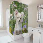 かわいい長髪のチワワ犬の子犬ペット写真-たらい シャワーカーテン (インサイチュ)