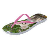 かわいい長髪クリームChihuahua Dog Puppy写真 –  ビーチサンダル (アングル)