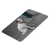 かわいい雑種犬 マグネット (左側)