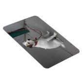 かわいい雑種犬 マグネット (右側)