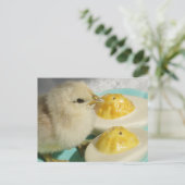 かわいい雛とデビルエッグ ポストカード (スタンド正面)