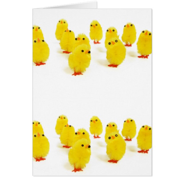 かわいい雛 (正面)