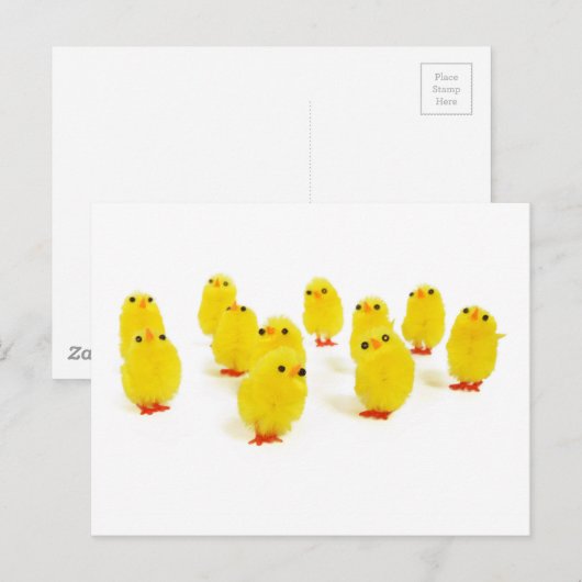 かわいい雛 ポストカード (正面/裏面)