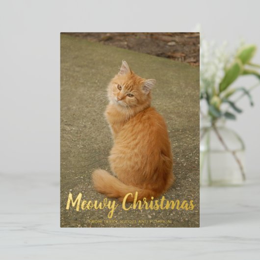 かわいい雪の結晶ネコ写真ミオウィクリスマス金ゴールド 箔シーズンカード (立ち正面)