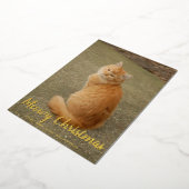 かわいい雪の結晶ネコ写真ミオウィクリスマス金ゴールド 箔シーズンカード (回転した状態)