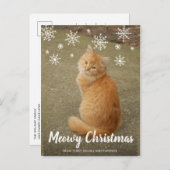 かわいい雪の結晶フォトキャットマイクリスマス シーズンポストカード (正面/裏面)