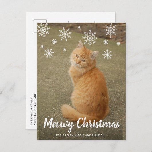 かわいい雪の結晶フォトキャットマイクリスマス シーズンポストカード (正面/裏面)