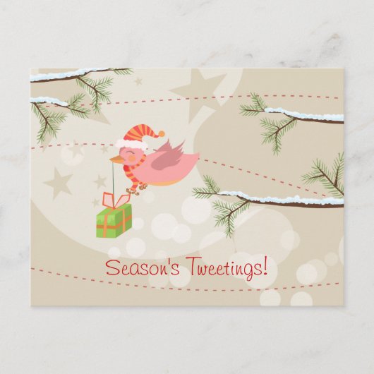 かわいい雪の鳥のクリスマスポストカード シーズンポストカード (正面)