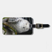 かわいい雪フクロウ ラゲッジタグ (正面横)