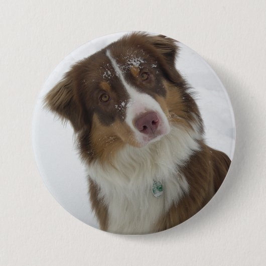 かわいい雪犬 缶バッジ (正面)