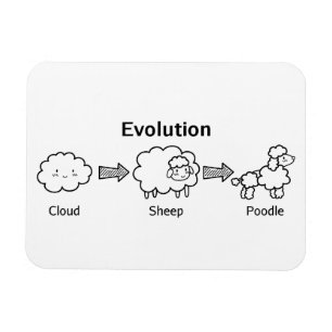かわいい雲の羊、そしてプードルへの面白い進化 マグネット