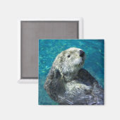 かわいい青い水かわいい海 マグネット (正面/裏面)