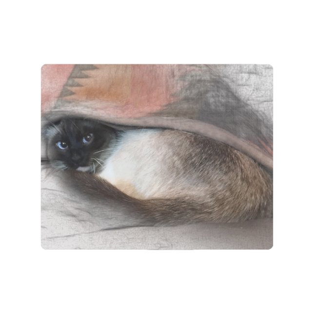 かわいい青い目のシャム猫が外を見る メタルプリント (正面)