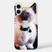 かわいい青い目のマスクをした子猫の写真 Case-Mate iPhoneケース (裏面)