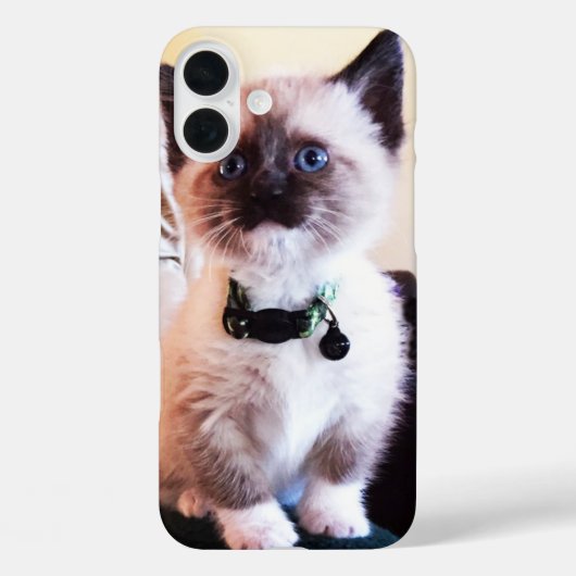かわいい青い目のマスクをした子猫の写真 Case-Mate iPhoneケース (裏面)