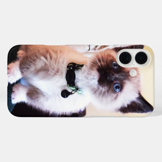 かわいい青い目のマスクをした子猫の写真 Case-Mate iPhoneケース (裏面 (横))