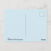 かわいい青い目の白と茶色の子猫 ポストカード (裏面)