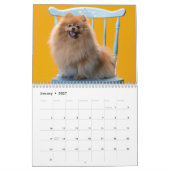 かわいい面白いカスタム犬と猫のペット写真 2027 カレンダー (1月 2027)
