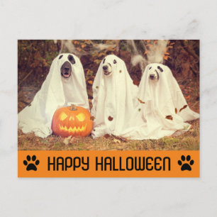 かわいい面白いハロウィーン幽霊犬 ポストカード