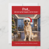 かわいい面白いペット犬の写真 クリスマス (正面)