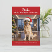かわいい面白いペット犬の写真 クリスマス (スタンド正面)
