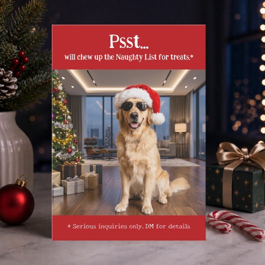 かわいい面白いペット犬の写真 クリスマス