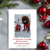 かわいい面白い犬たちからのクリスマスホリデーカード 招待状