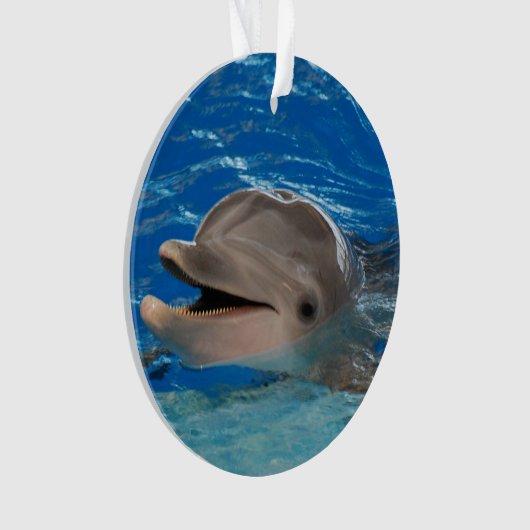 かわいい響くイルカ オーナメント (正面)