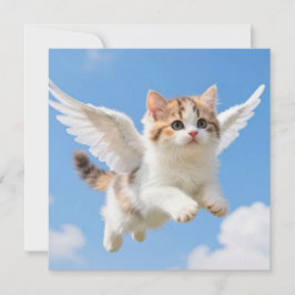 かわいい飛ぶ子猫 三毛猫 ブルー空