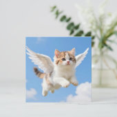 かわいい飛ぶ子猫 三毛猫 ブルー空 カード (スタンド正面)