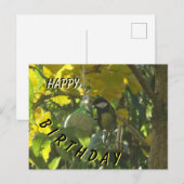 かわいい食べる鳥の誕生日ポストカード ポストカード (正面/裏面)