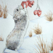 かわいい食べネズミの果実の雪のシーン野生動物 ラージクリスマスストッキング