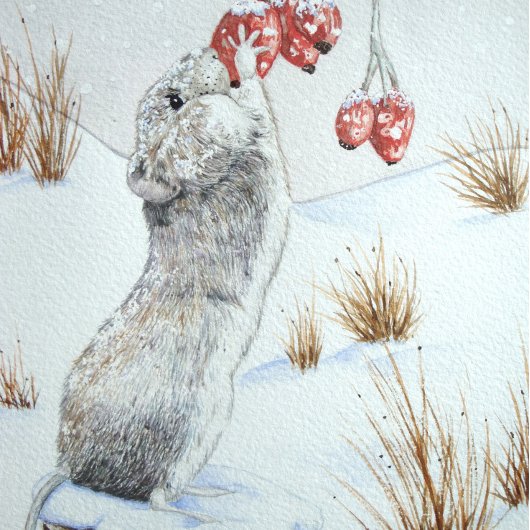 かわいい食べネズミの果実の雪のシーン野生動物 ラージクリスマスストッキング