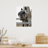 かわいい馬クローズアップ ポスター (キッチン)