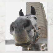 かわいい馬クローズアップ ワインラベル (シングルラベル)