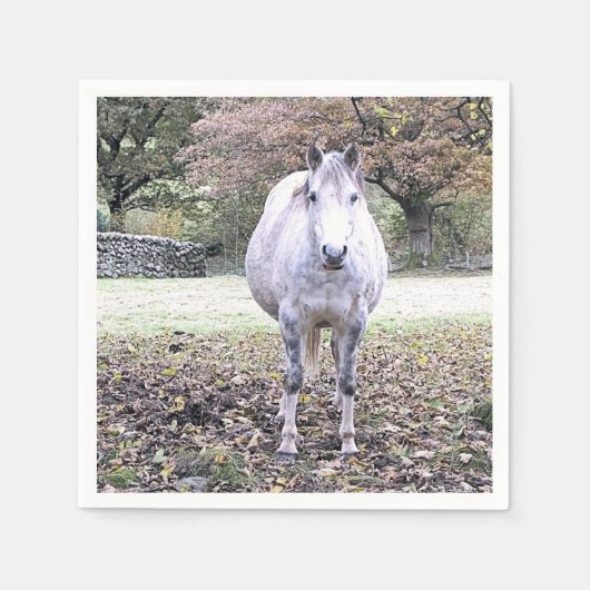 かわいい馬 スタンダードカクテルナプキン (正面)