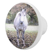 かわいい馬 セラミックノブ (右)