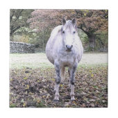 かわいい馬 タイル (正面)