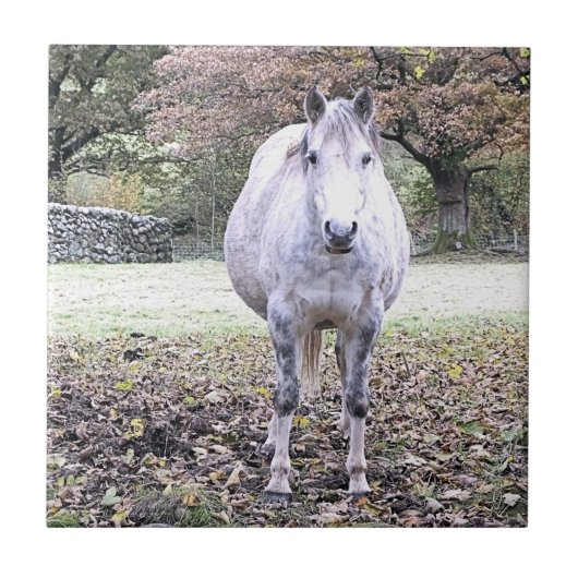 かわいい馬 タイル (正面)