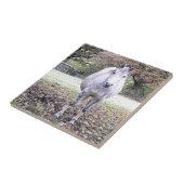 かわいい馬 タイル (側面)