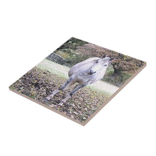 かわいい馬 タイル (側面)