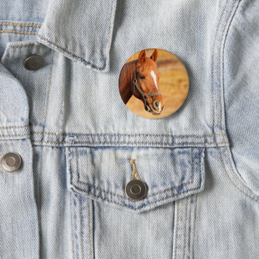 かわいい馬 缶バッジ (インサイチュ)