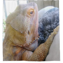 かわいい髭があるドラゴンの終わりの写真